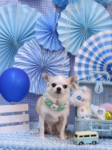 20231114マロンくん